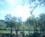 blad jadiiiii